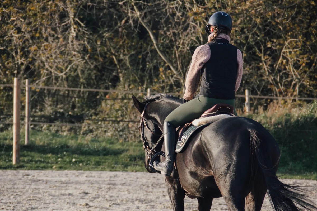 Travail du cheval sur le plat, séance de valorisation