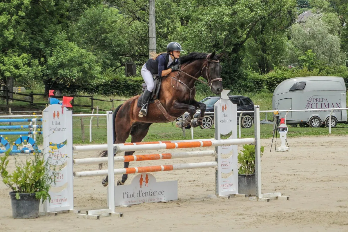 Cavalière en plein saut d'obstacles lors d'un concours