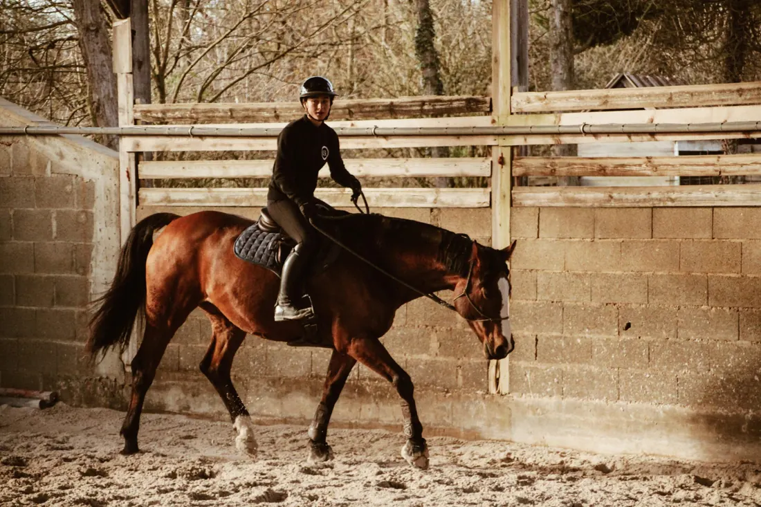 Cavalière au pas, lumière du soir