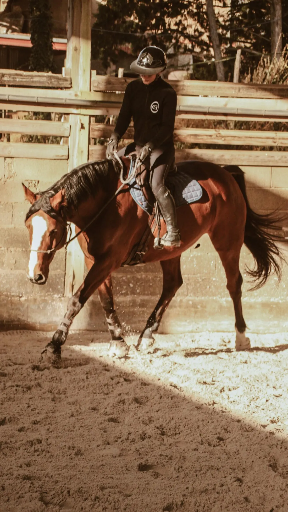 Cours d'équitation, travail de la position