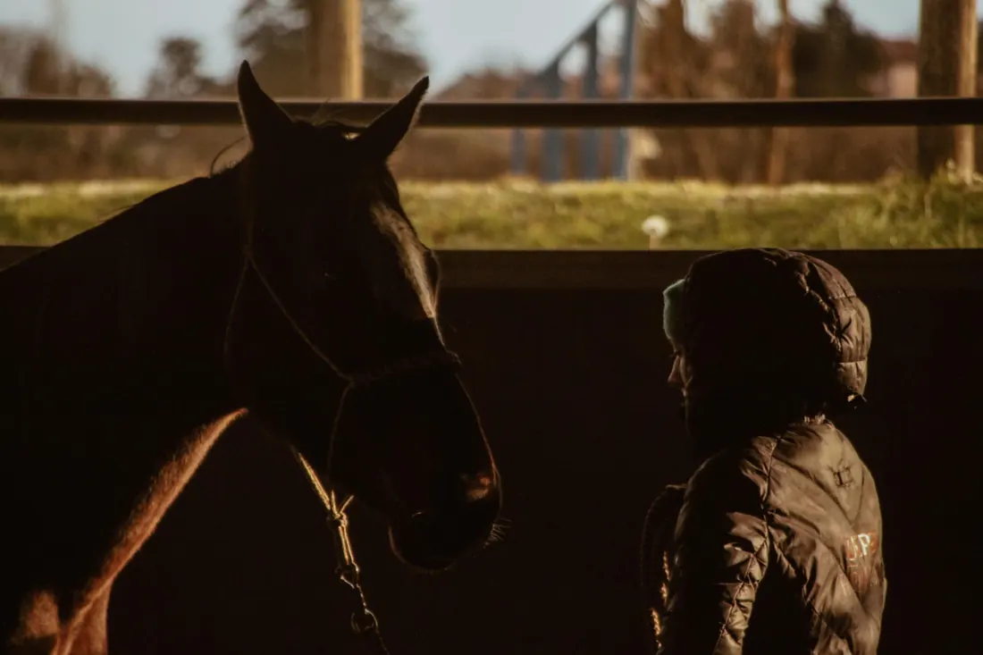 Contre-jour, moment de calme avec le cheval