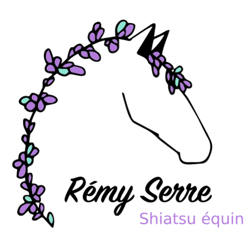 Rémy Serre · Shiatsu Équin